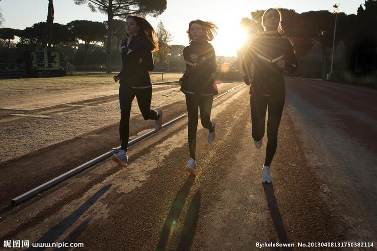 引领塞尔维 引领塞尔维