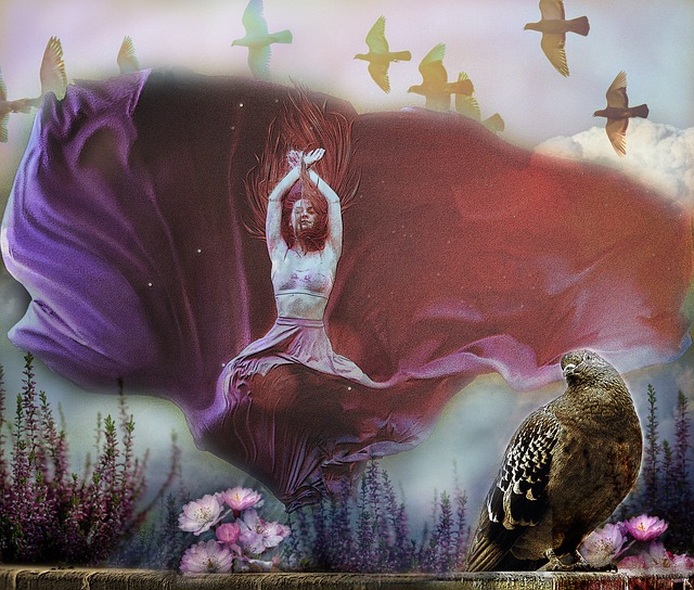 赛的反超 赛的反超